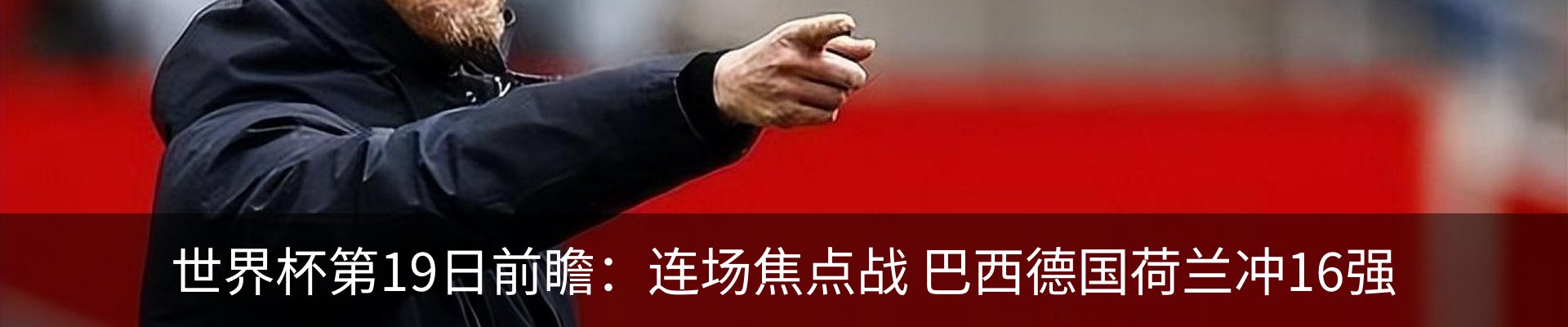 最新动态
