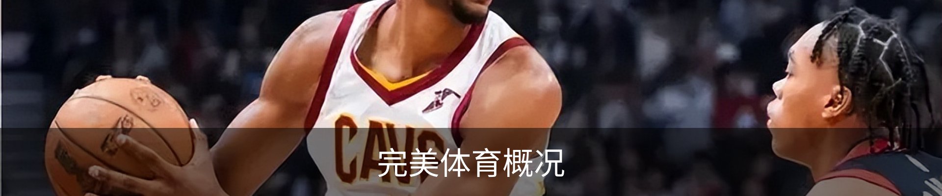 完美体育概况