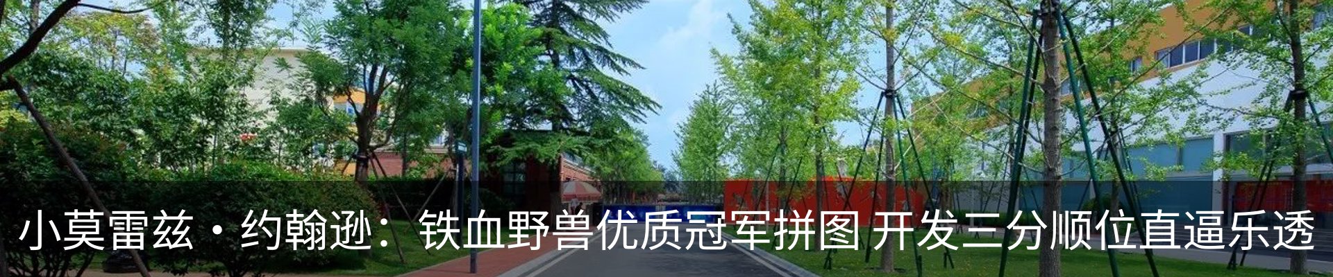 最新动态